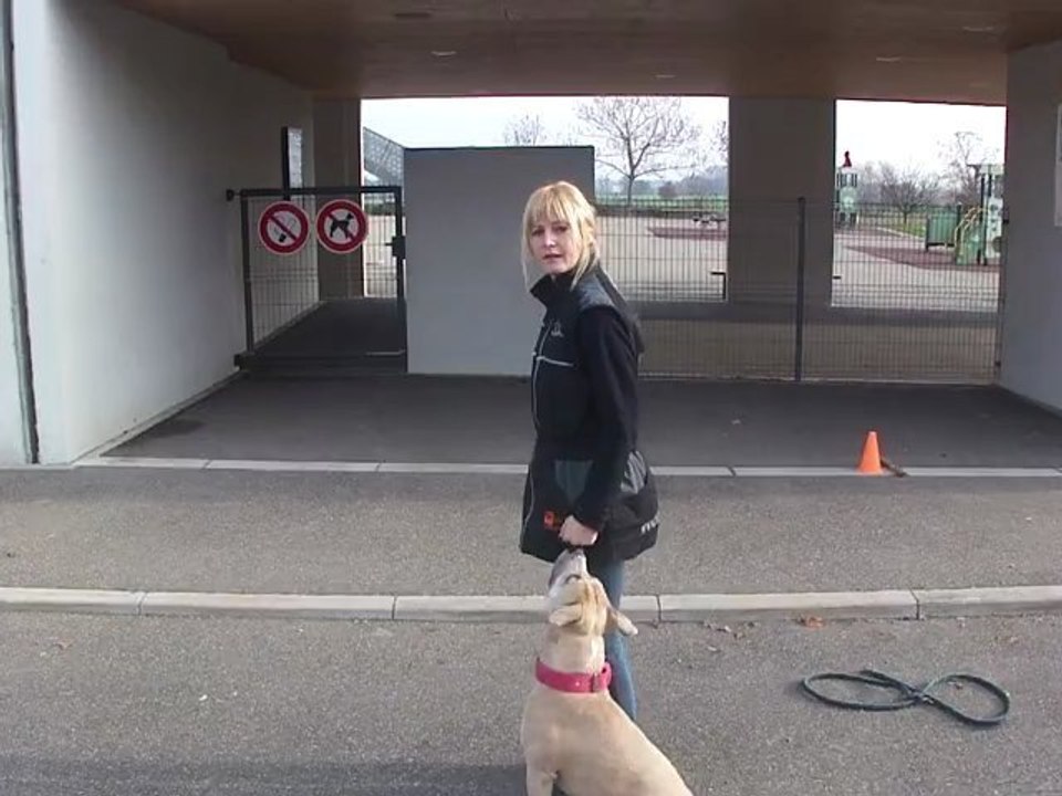 Elya entrainement obé suite