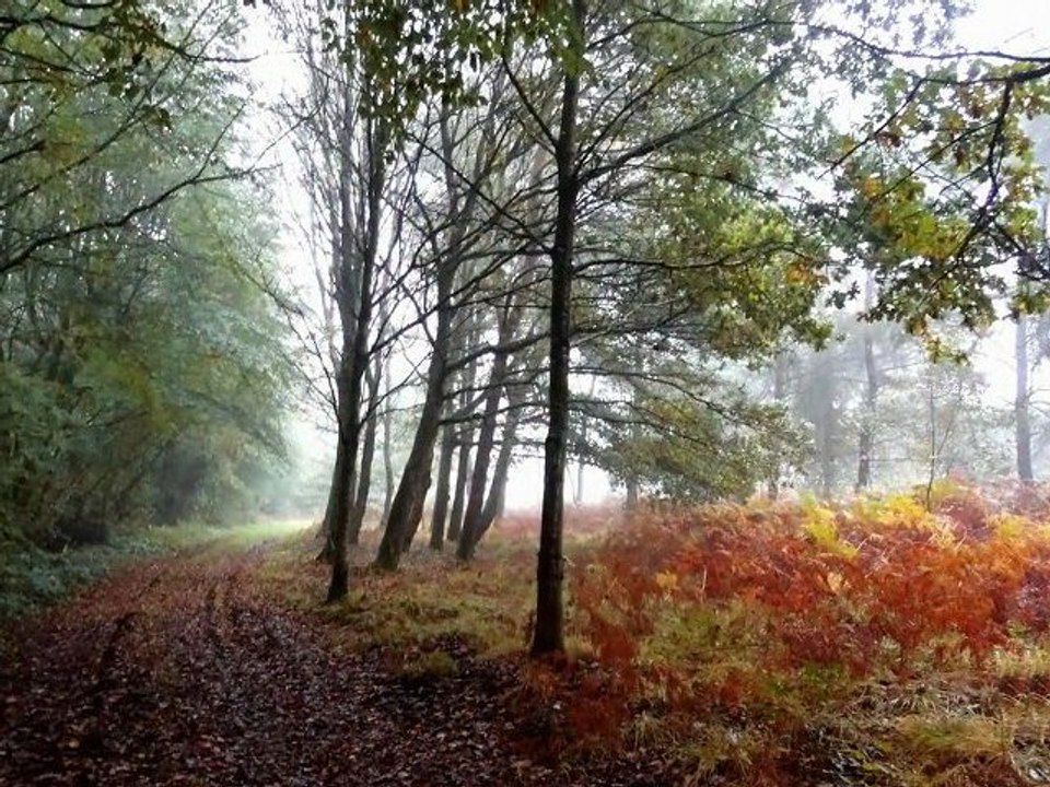 Bretagne d'automne ( mes photos d'automne )