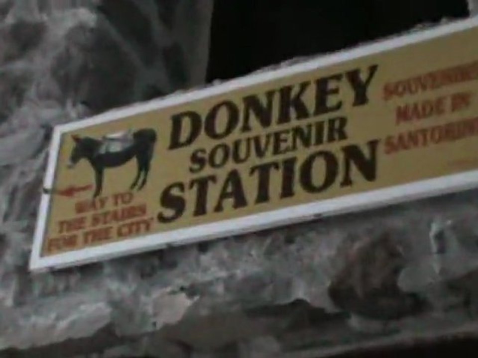 FTI Berlin Kreuzfahrt Santorin Ausflug Eselritt Shopping in Fira