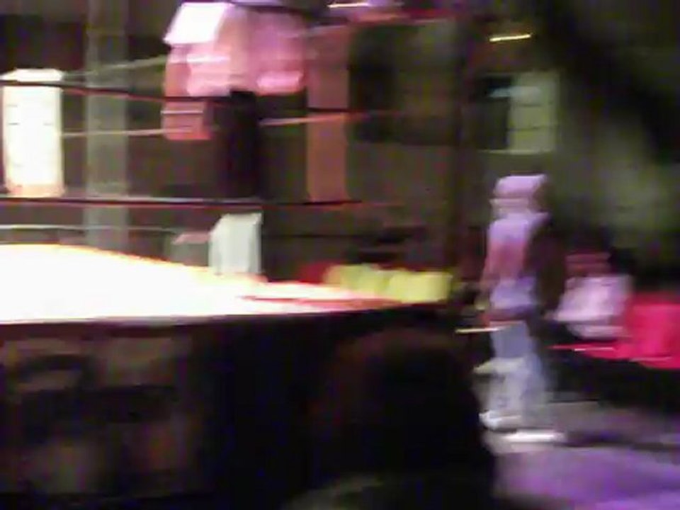 catct ile de rée 17 11 2012 065