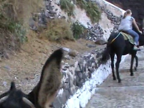 FTI Berlin Kreuzfahrt Santorin Ausflug Eselritt Shopping in Fira