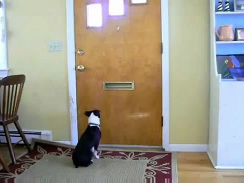 Pourquoi les mails ont été inventés