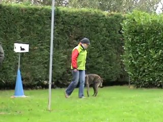 2012-10-28 Dubai Web