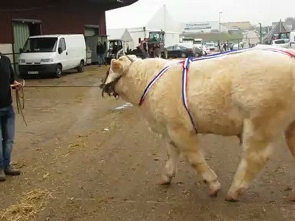 HIT-PARADE CHAROLLES 2012