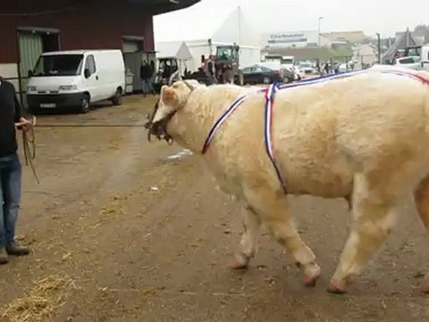 HIT-PARADE CHAROLLES 2012