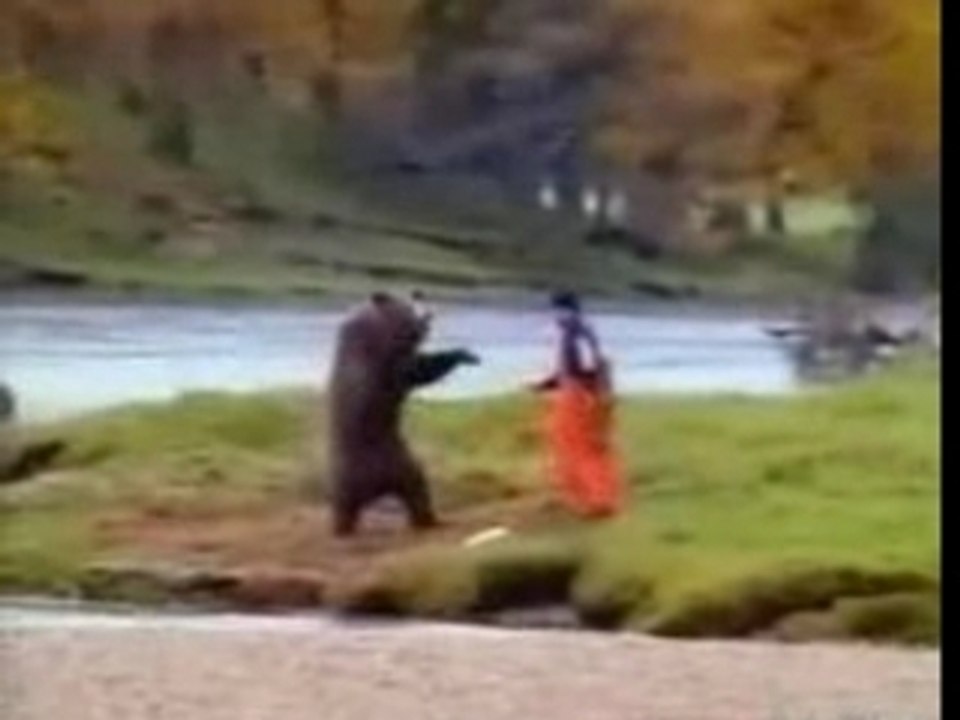 Faites pas chier aux ours!