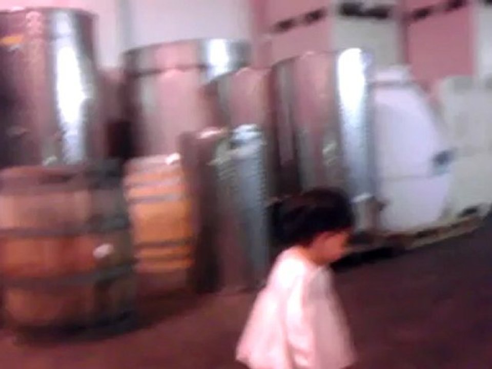 Wandering in a Post Apocalyptic Warehouse