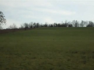 easystar 2 multiplex