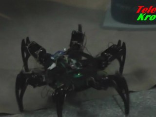 Podkarpacki Festiwal Nauki i Techniki