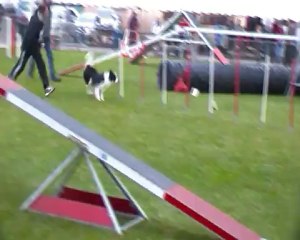 FIBY Open FOS SUR MER 18/11/12