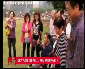 to-periptero.com-Σκύλος ξέρει να μετράει