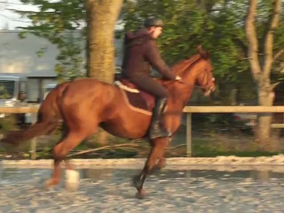 Nuace - Benoit