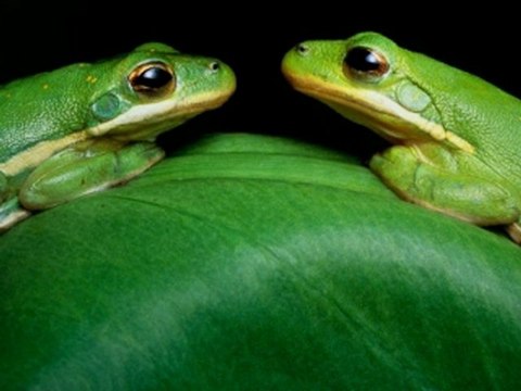 바카라룰 ♥_V­I­P­5­1­2­.­N­E­T_♥ 해외카지노 ▥♥↘ 실시간룰렛 가비엔제이