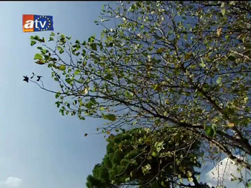 Krem 12.Bölüm 4.Kısım İzle - Www.Bolumizletv.Com