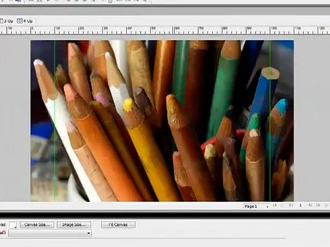 Profesyonel Web Tasarım Ajansı
