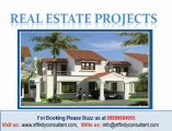 Real Estate Property in Noida, Banglore and Mumbai 09999684955