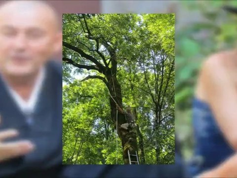 Un mois au temple zen de Caroux de la Kosen sangha pour le camp d'été de juillet août 2012
