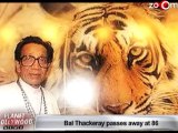 Bal Thackeray's Bollywood connection