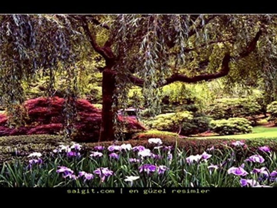 Aygün  Geçti Dost Kervanı Eyleme Beni