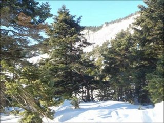 ΠΑΡΝΗΘΑ  17/01/2012  Greece atv