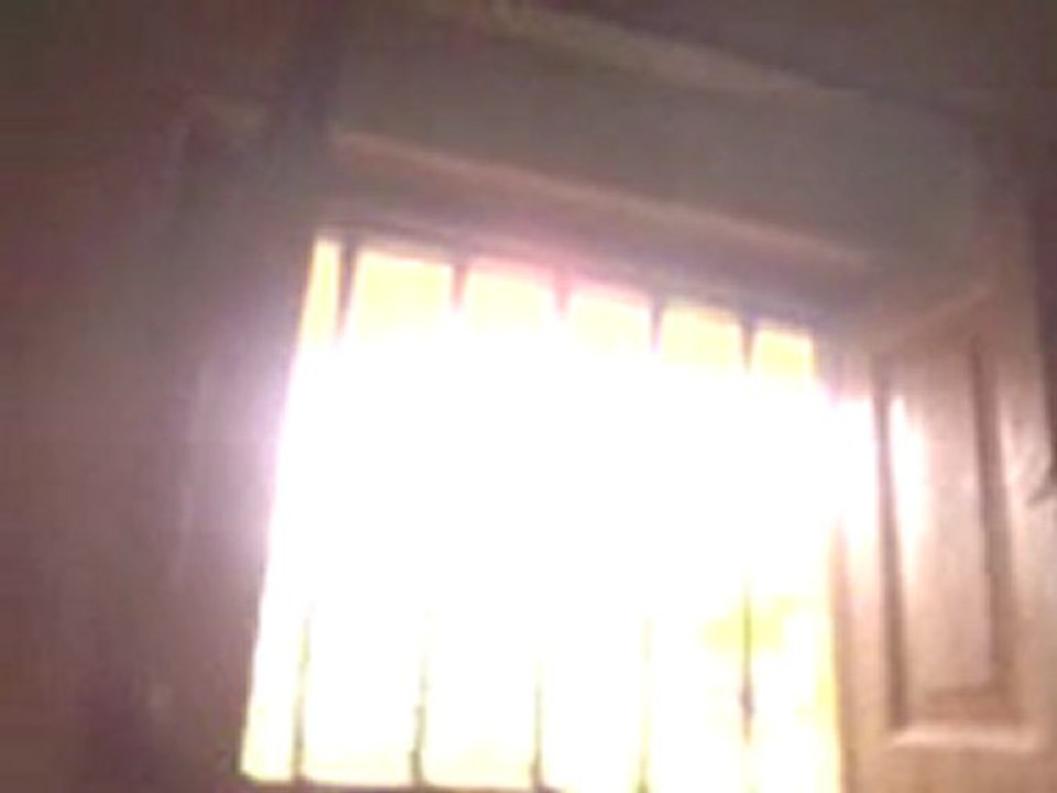 Video-0003