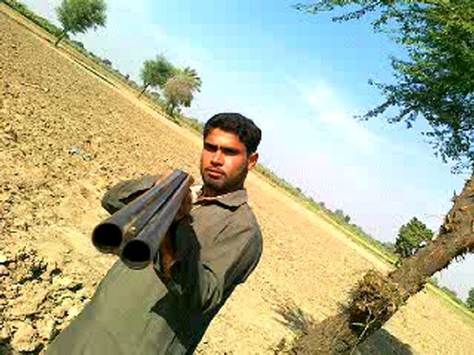 Ali AbdolMaliki (Brohi)