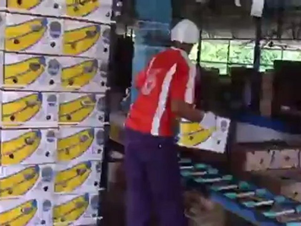 Colombia: dairy farmers under threat | Global 3000