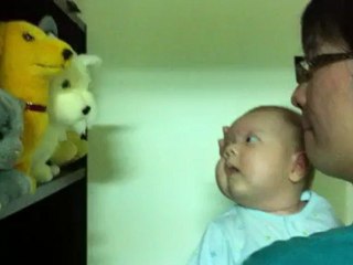 attracted by the toys