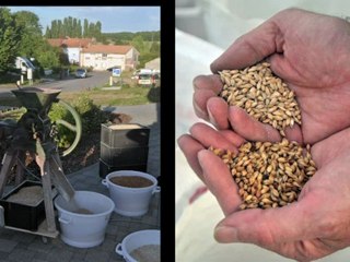 Passion ou Pression ?