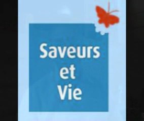 saveurs et vie intègre le widget gotoo sur son site www.saveursetvie.fr
