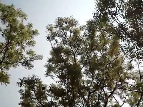 Khairul Anam Shakil - He Priyo Amare Debo Na Bhulite