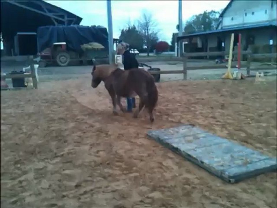 Les juments petit travail à pied