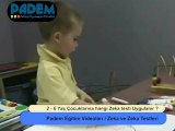 2 - 6 Yaş Çocuklarına Hangi Zeka Testi Uygulanır?