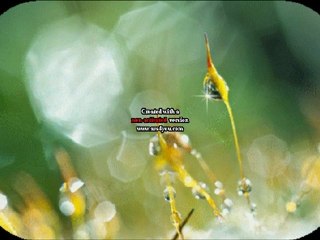 تحذير الشيخ عبيد من الرمضاني