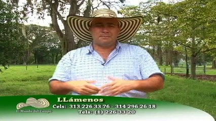 Asocharolaise dia de campo Noviembre 17 de 2012 web