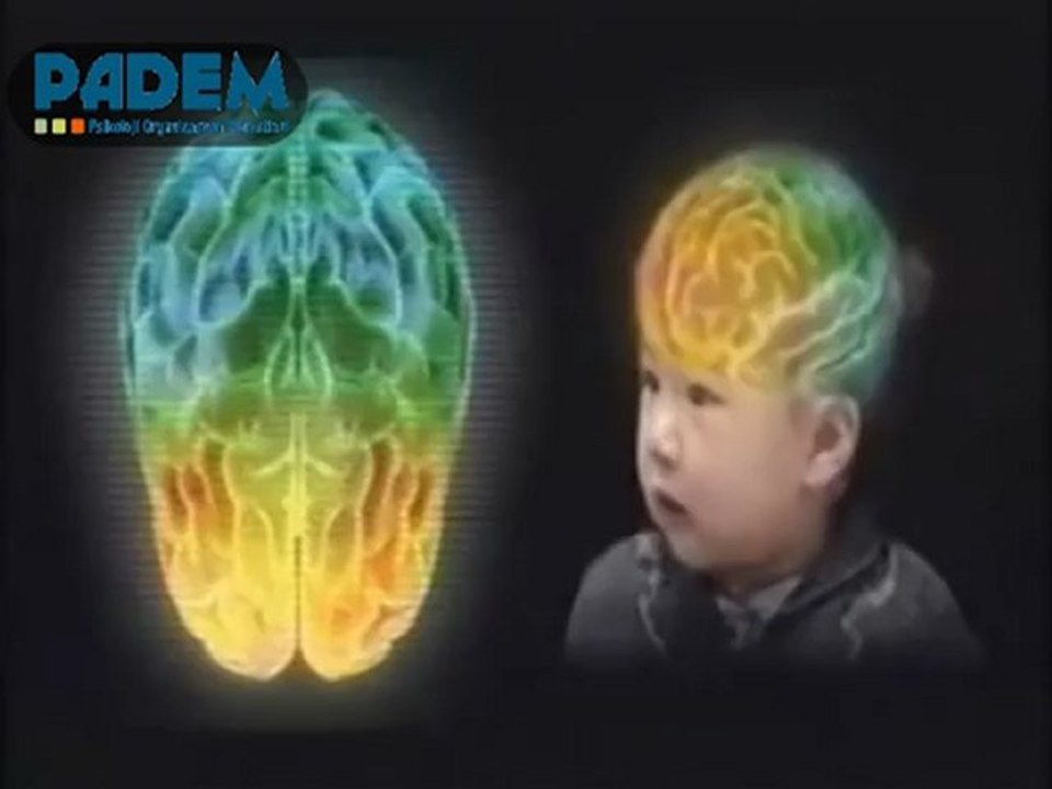 Zeka ve Zeka Testi Nedir?