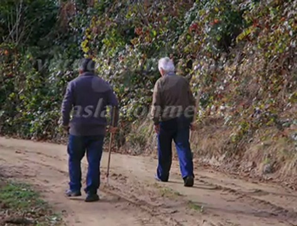 yeşil vadi fırtına www.kavrun.tr.gg