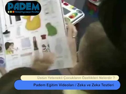 Üstün Zekalı Çocukların Özellikleri Nelerdir?