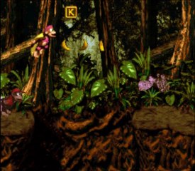 Donkey Kong Country 2 (SNES) Part 43