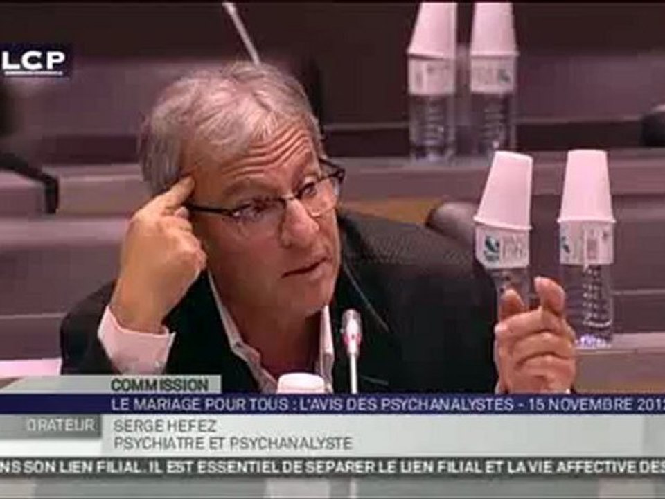 Audition de la Commission des lois sur le mariage pour tous - Travaux en commission - Auditions de la Commission des lois sur le projet de loi visant à ouvrir le mariage et l'adoption aux couples de même sexe - Segment1(01_17_52.8-01_28_44.4)