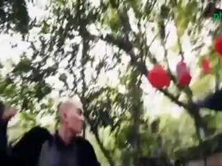 Thiên mệnh anh hùng 4