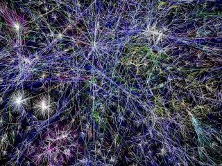 The Slashdot Effect: Online News - Toasted Donut