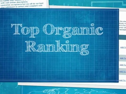 SEO New York City SEO NYC SEO NY SEO NJ SEO New York City SEO Manhattan SEO Brooklyn SEO Queens SEO Long Island SEO New York