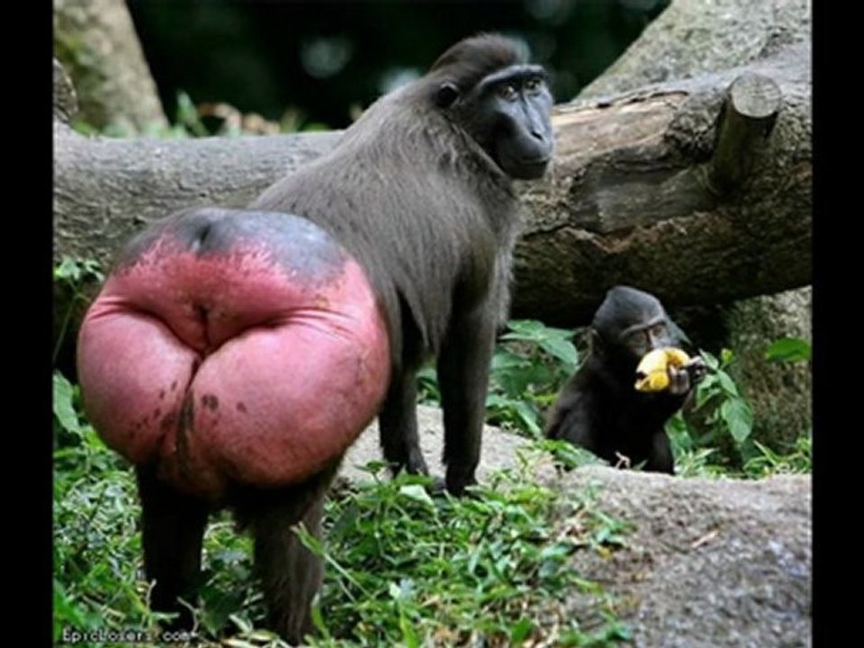 Sony Will Not Block Used Games