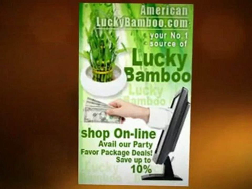 Bamboo