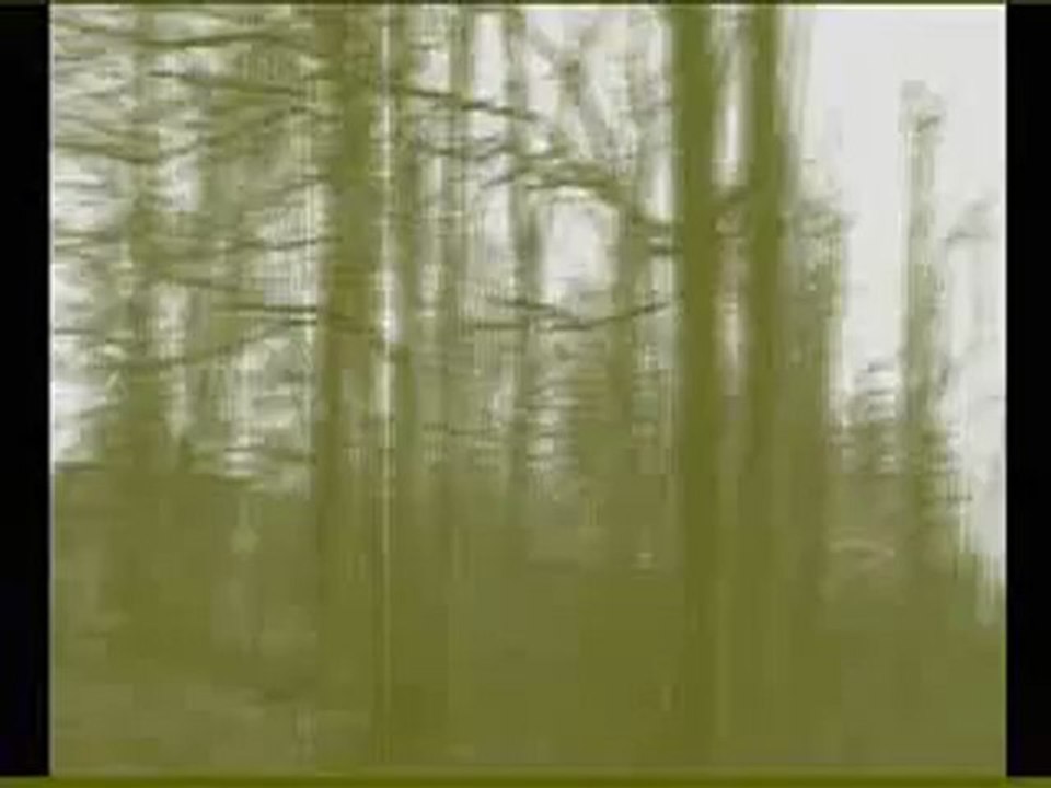 A SONG ON THE OLD RADIO (music and images by Rita Célia Dini Carlberg