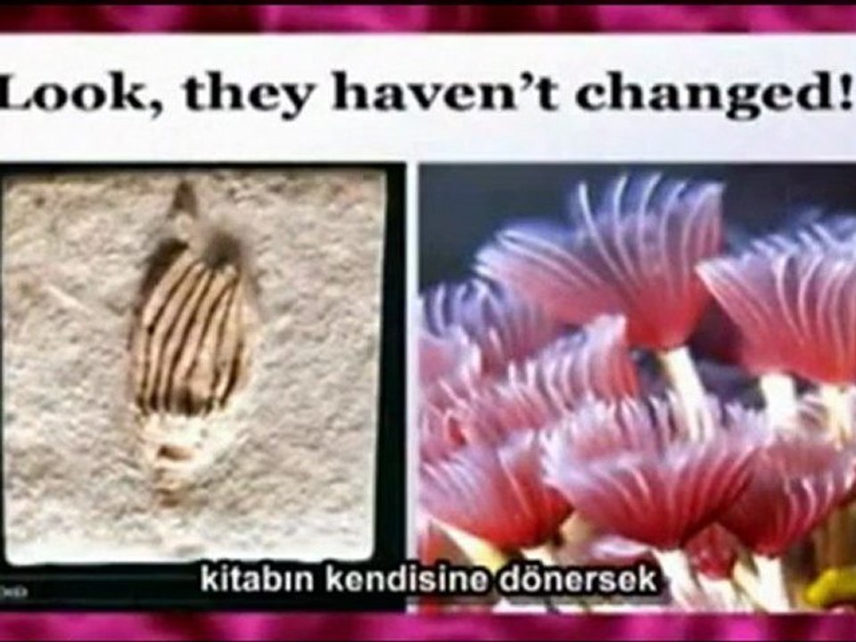 Richard Dawkins Harun Yahya'nın Cehaleti (14)