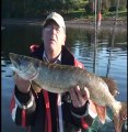 Pike fishing at Inniscara Lake in Ireland, part 3