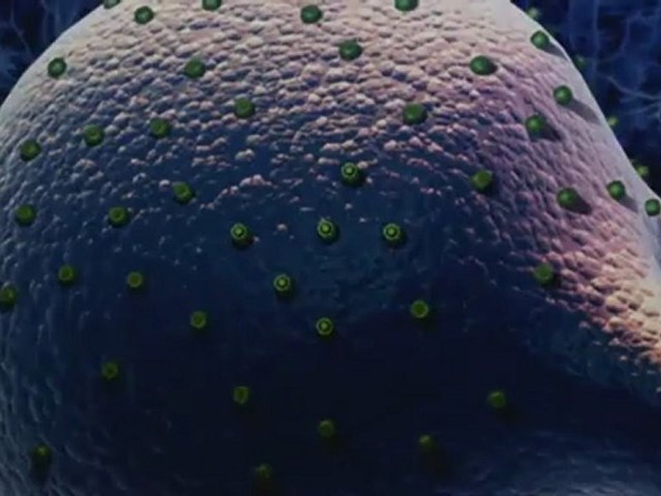 TANRIYI OYNAMAK - BÖLÜM 5