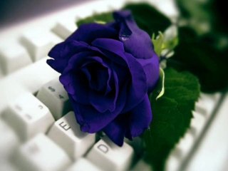 Eleni. Bawmy się, śmiejmy się